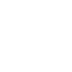 Custom Action